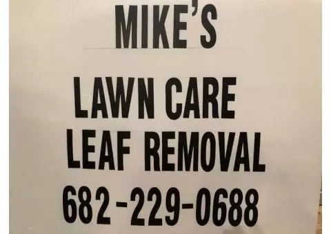 Lawn Care and Leaf Removal